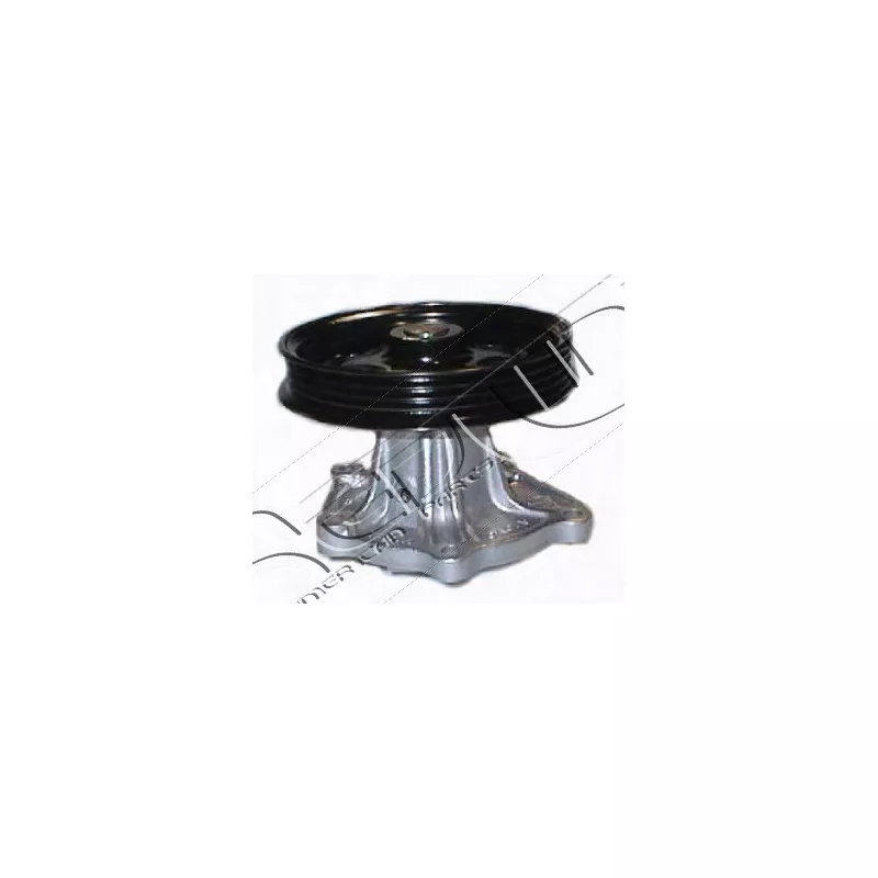 Pompe à eau, refroidissement du moteur RED-LINE 28TO019
