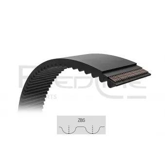 Courroie de distribution RED-LINE 29IZ003