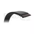 Courroie de distribution RED-LINE 29SZ011 - Visuel 2