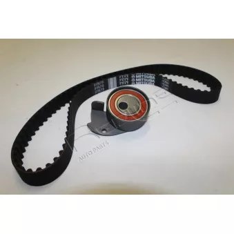 Kit de distribution RED-LINE 30DA000