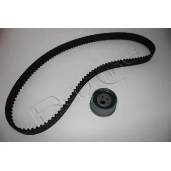 Kit de distribution RED-LINE 30GW001