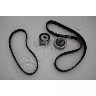 Kit de distribution RED-LINE 30HO002