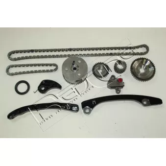 Kit de distribution par chaîne RED-LINE 30NI030