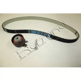 Kit de distribution RED-LINE 30NI036