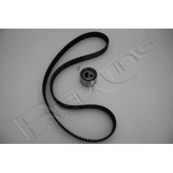 Kit de distribution RED-LINE 30SZ003