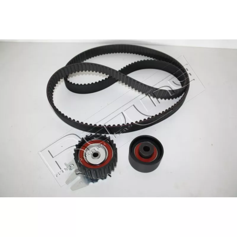 Kit de distribution RED-LINE 30SZ009