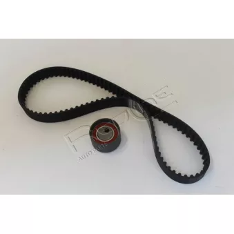 Kit de distribution RED-LINE 30VE001