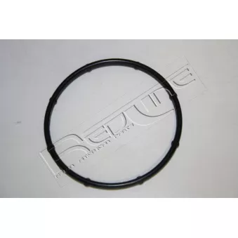 Joint d'étanchéité, pompe à eau RED-LINE