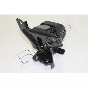 Support moteur RED-LINE 43HY029