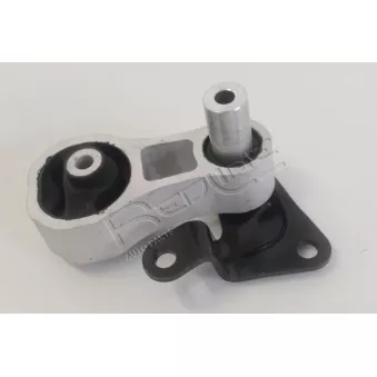 Support moteur RED-LINE 43MZ055