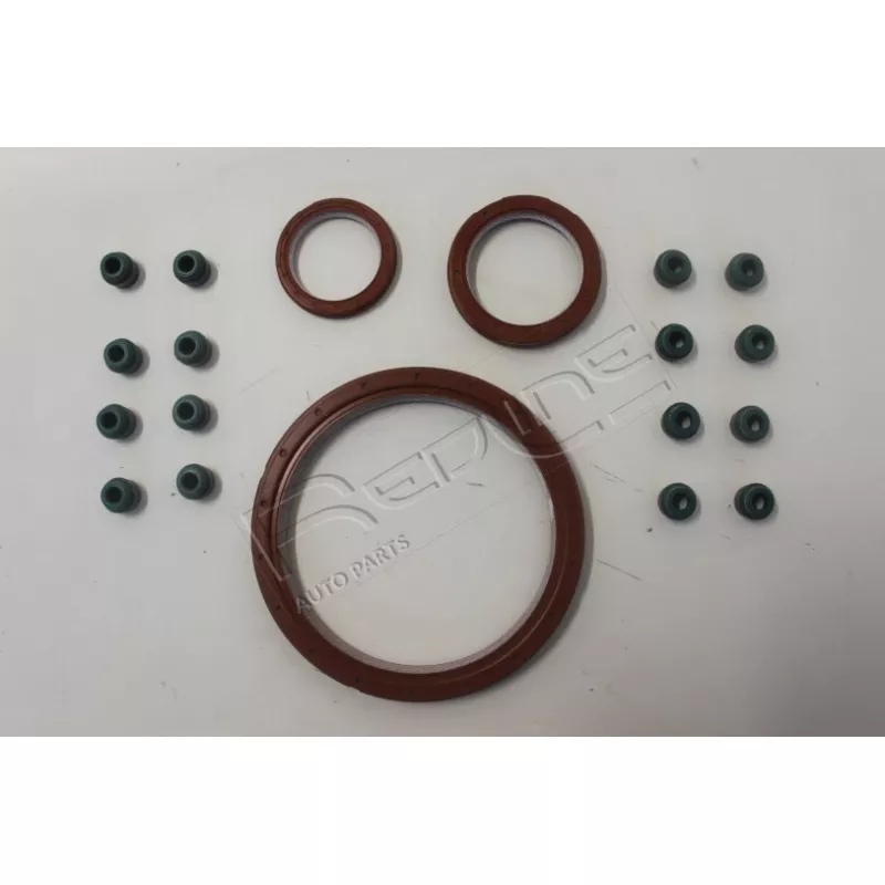 Kit de bagues d'étanchéité, moteur RED-LINE 44TA005