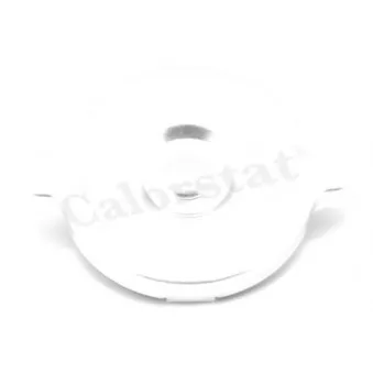 Bouchon de radiateur CALORSTAT BY VERNET RC0053