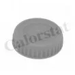 Bouchon, réservoir de liquide de refroidissement CALORSTAT BY VERNET RC0185 - Visuel 1