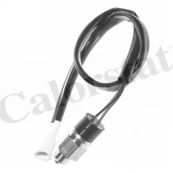 Contacteur, feu de recul CALORSTAT BY VERNET RS5556