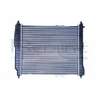 Radiateur, refroidissement du moteur RED-LINE 51DW006 - Visuel 2