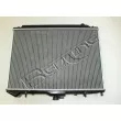 Radiateur, refroidissement du moteur RED-LINE 51GW000 - Visuel 2