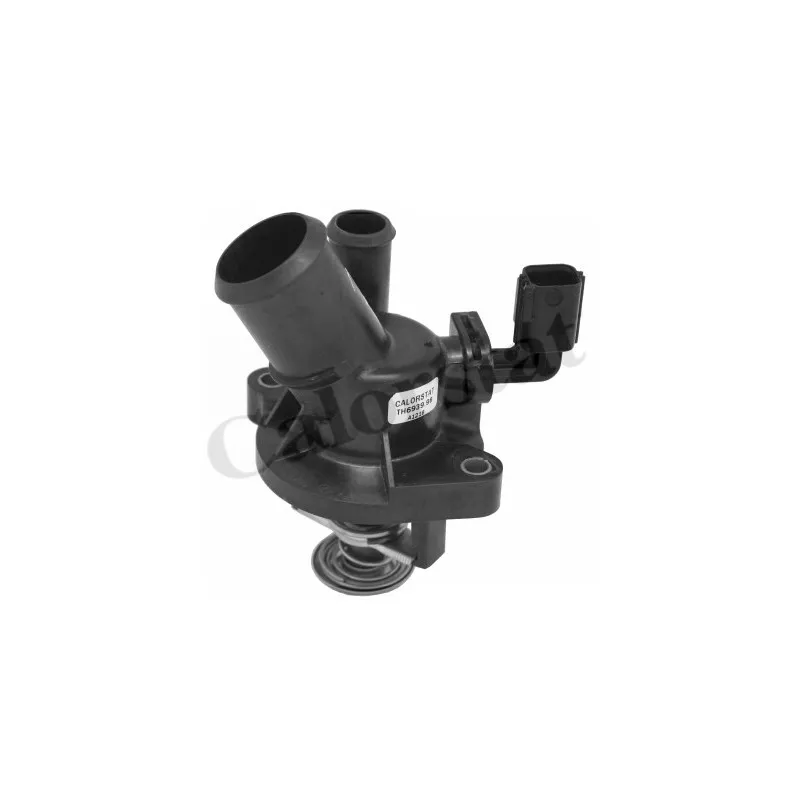 Thermostat d'eau CALORSTAT BY VERNET TE6939.98J