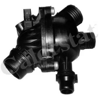 Thermostat d'eau CALORSTAT BY VERNET TE6984.97J