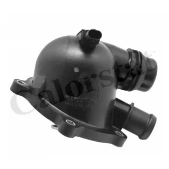 Thermostat d'eau CALORSTAT BY VERNET TE7194.97J