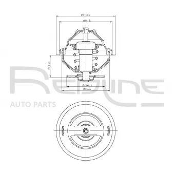 Thermostat d'eau RED-LINE 55CH000