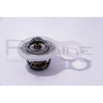 Thermostat d'eau RED-LINE 55CH001