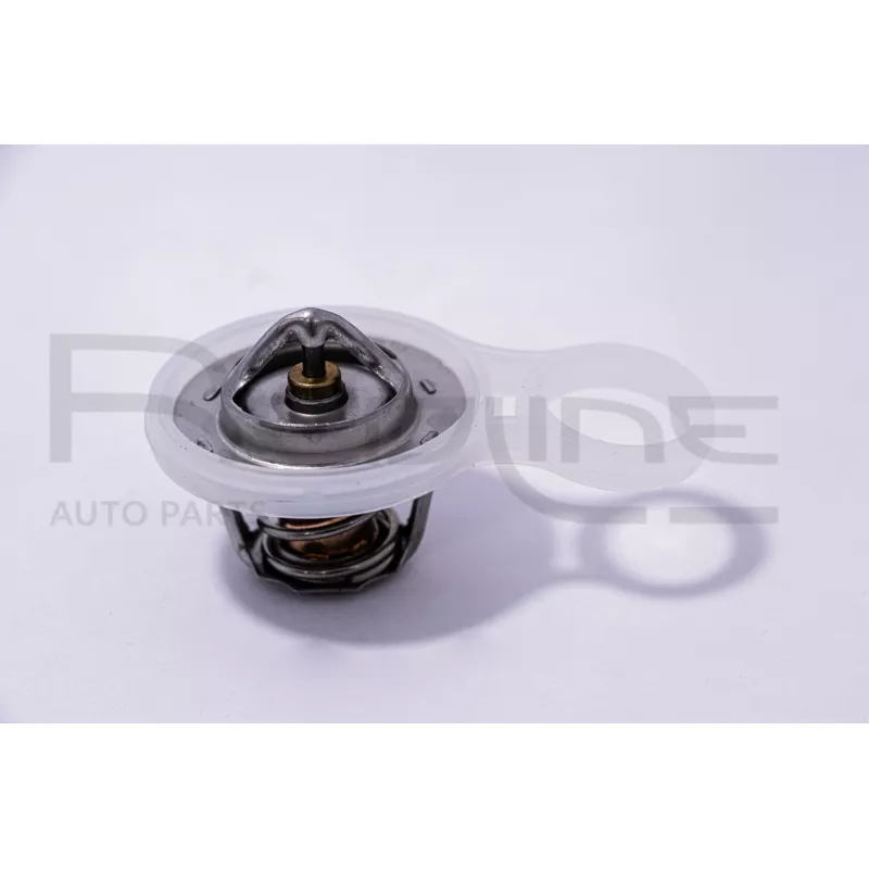 Thermostat d'eau RED-LINE 55CH001