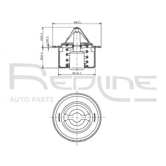 Thermostat d'eau RED-LINE 55CV000