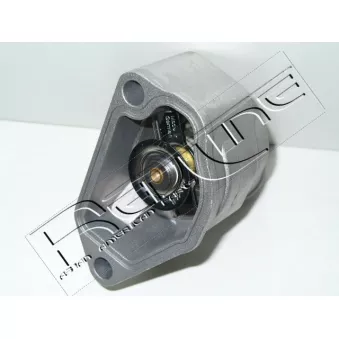 Thermostat d'eau RED-LINE 55CV001