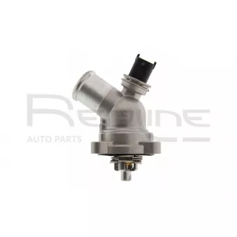 Thermostat d'eau RED-LINE 55CV006