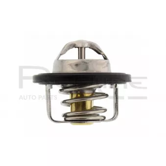 Thermostat d'eau RED-LINE 55CV007