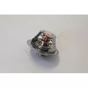 Thermostat d'eau RED-LINE 55GI000