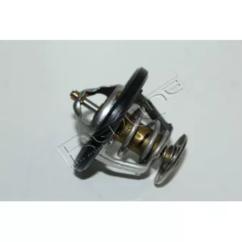 Thermostat d'eau RED-LINE 55GW000