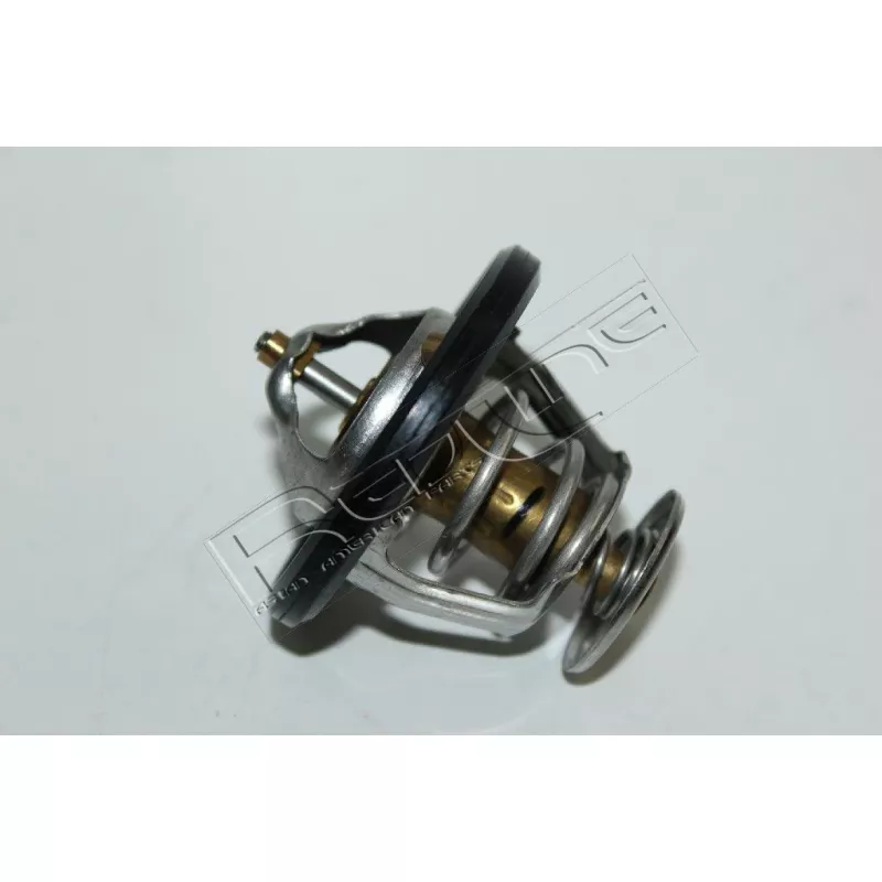 Thermostat d'eau RED-LINE 55GW000