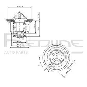 Thermostat d'eau RED-LINE 55HO000