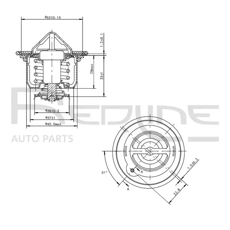 Thermostat d'eau RED-LINE 55HO000