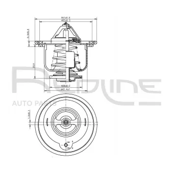 Thermostat d'eau RED-LINE 55HO005