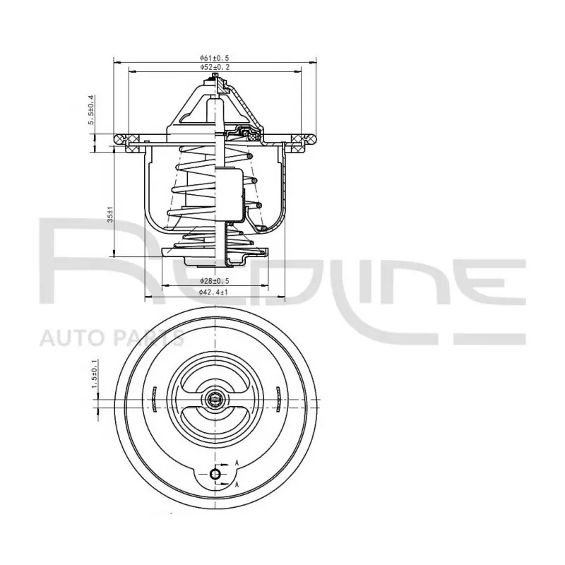 Thermostat d'eau RED-LINE 55HO005