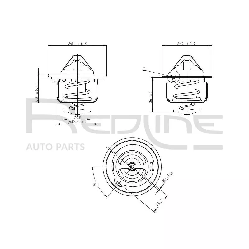 Thermostat d'eau RED-LINE 55HO006