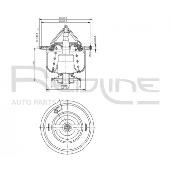 Thermostat d'eau RED-LINE 55HY001