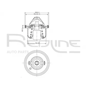 Thermostat d'eau RED-LINE 55HY002