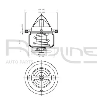 Thermostat d'eau RED-LINE 55HY003