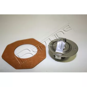 Thermostat d'eau RED-LINE 55HY006