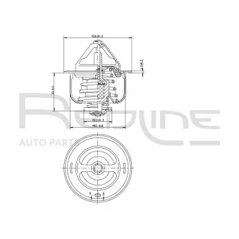 Thermostat d'eau RED-LINE