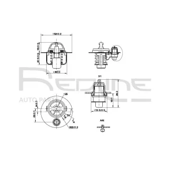 Thermostat d'eau RED-LINE 55KI003