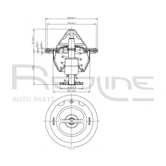 Thermostat d'eau RED-LINE 55KI004