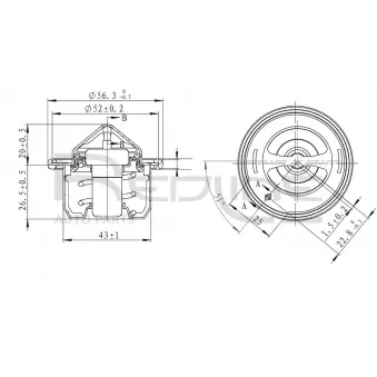 Thermostat d'eau RED-LINE 55KI005