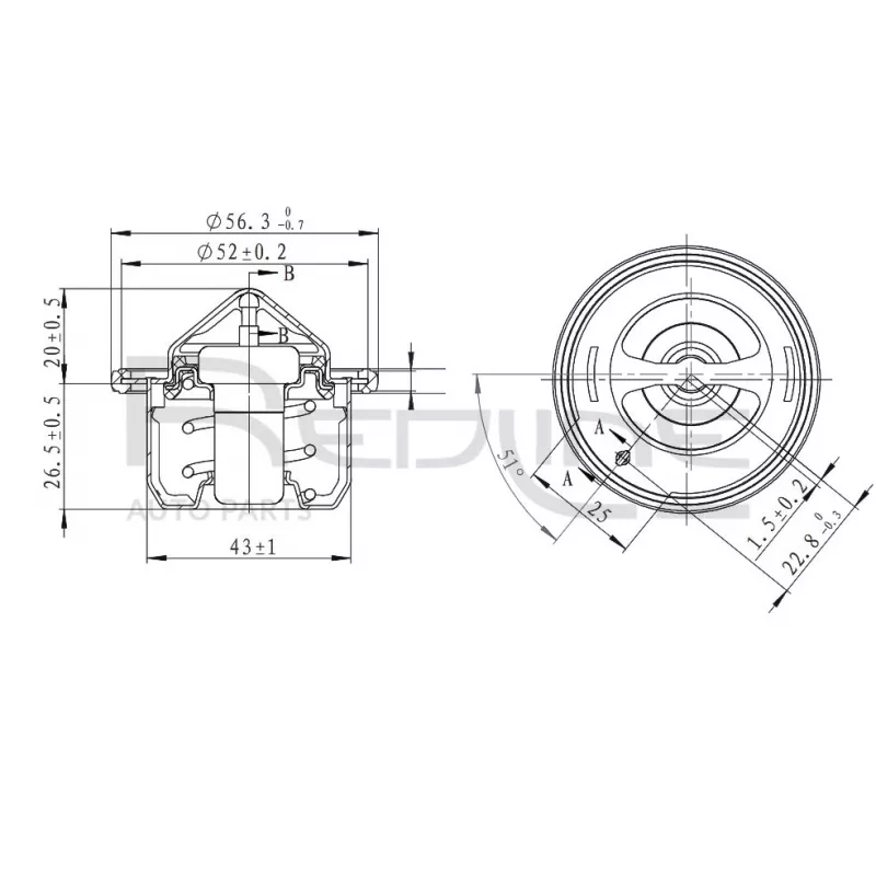 Thermostat d'eau RED-LINE 55KI005