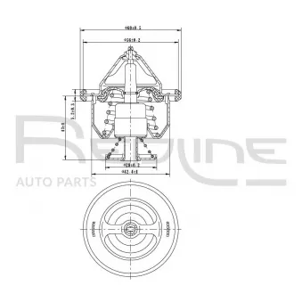 Thermostat d'eau RED-LINE 55MI001