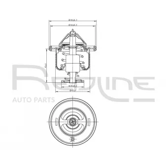 Thermostat d'eau RED-LINE 55MI003