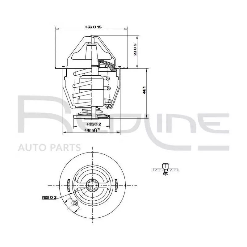 Thermostat d'eau RED-LINE 55MI005